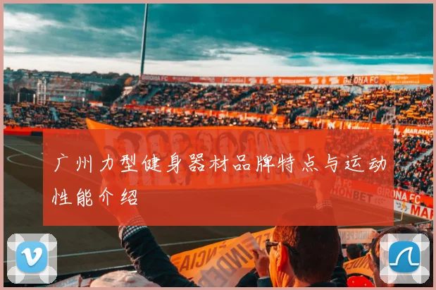 广州力型健身器材品牌特点与运动性能介绍