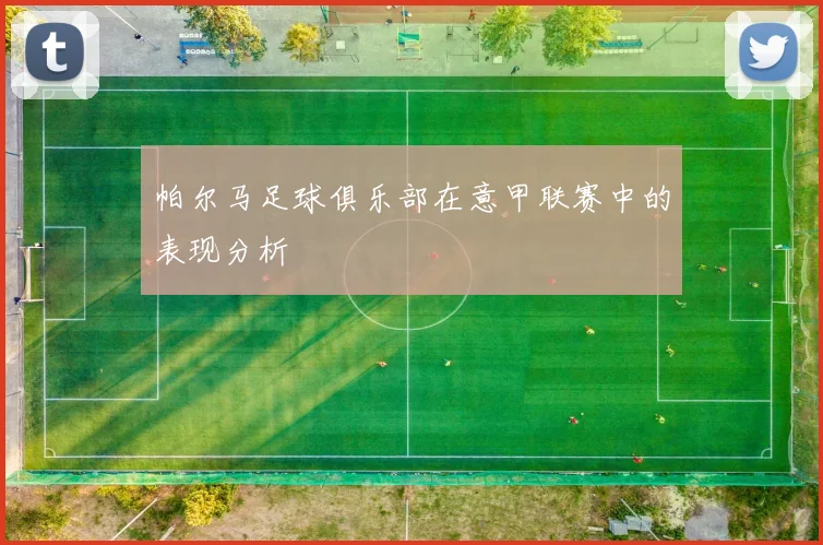 帕尔马足球俱乐部在意甲联赛中的表现分析