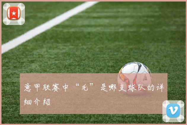 意甲联赛中“毛”是哪支球队的详细介绍